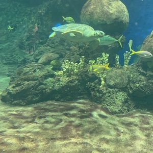 Meet your Posher, Alejandra